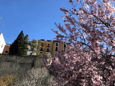 primavera en cuenca
